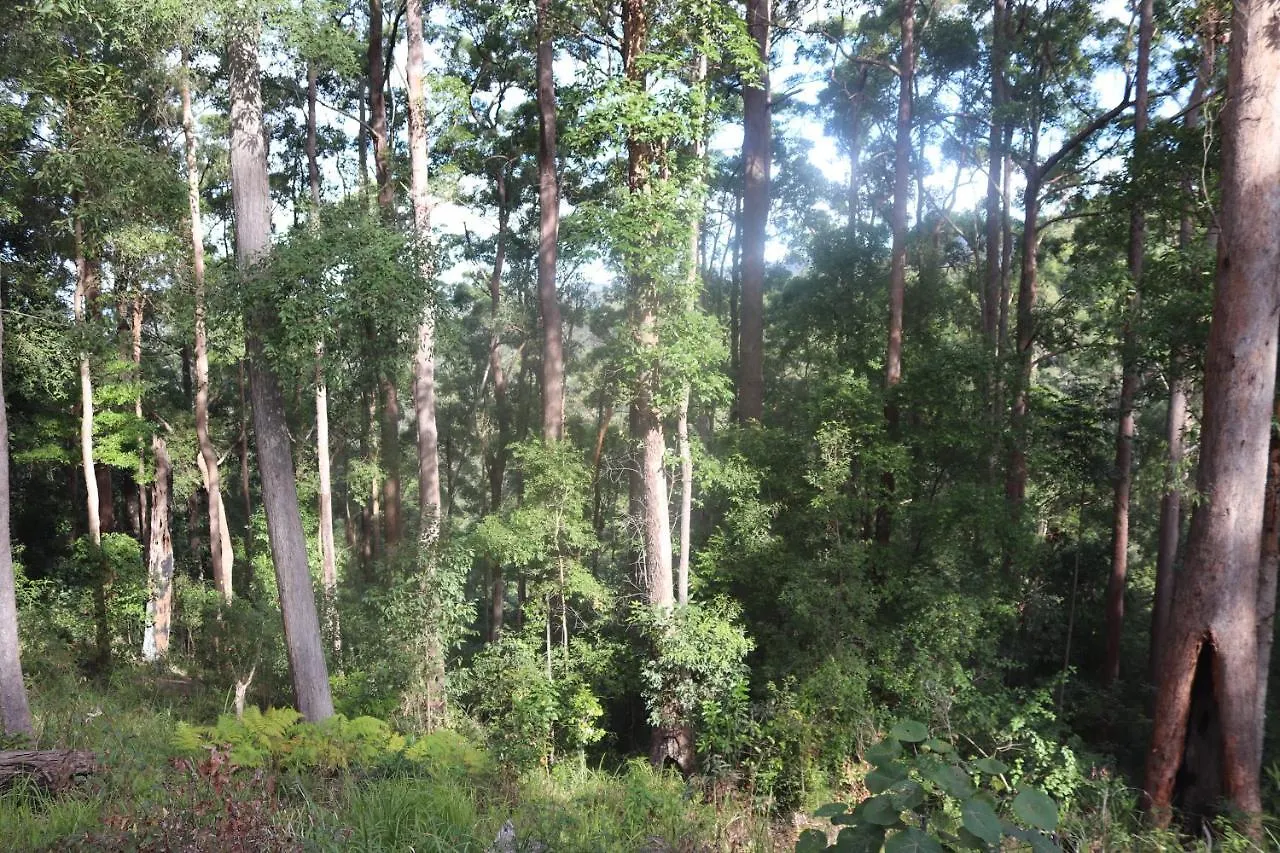 Lake View Chalet: Scenic Retreat Near Australia Zoo and Beaches Landsborough